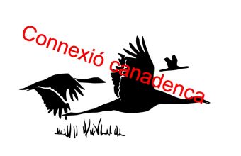 Connexió canadenca -  2012